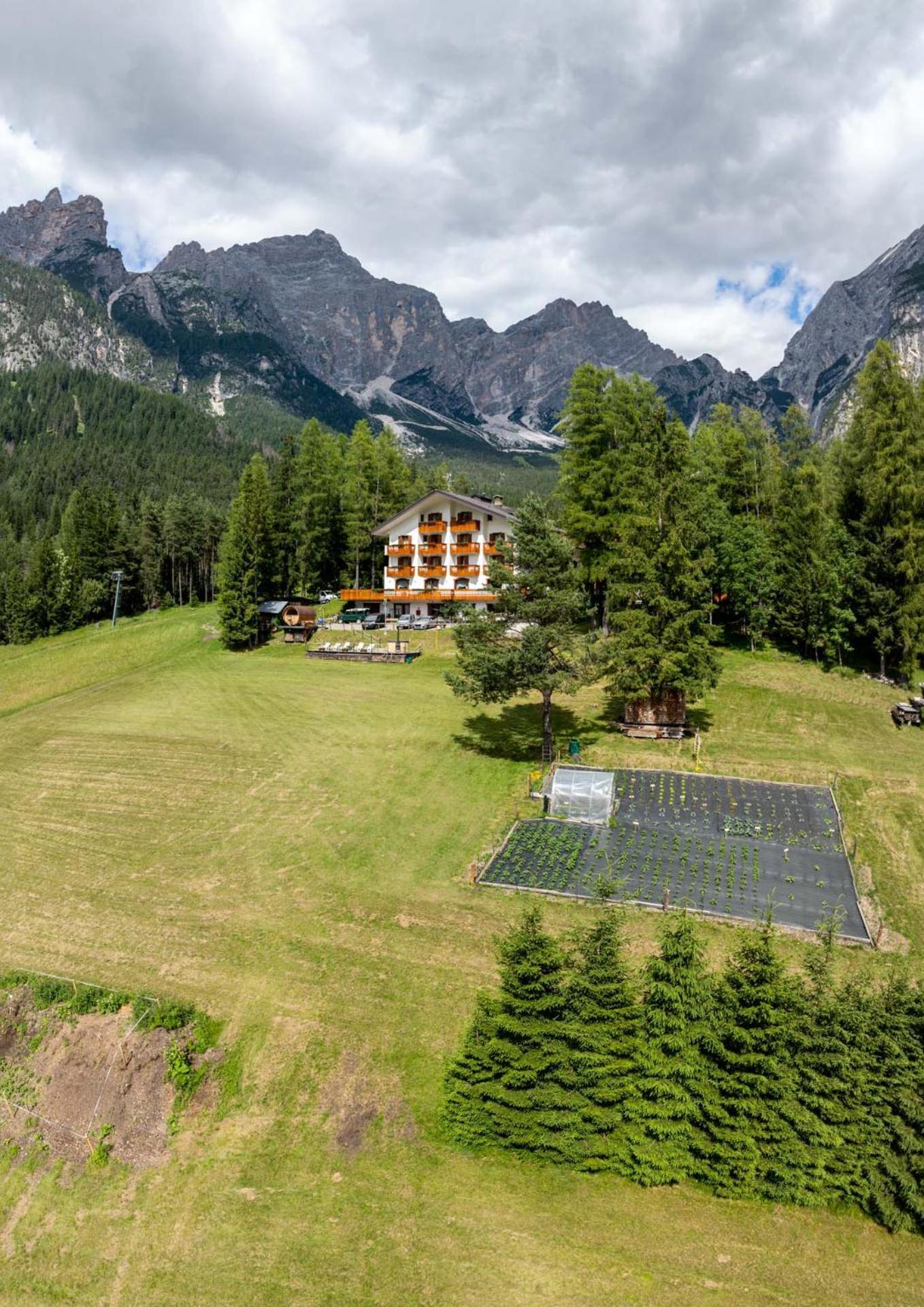 Hotel Il Cardo San Vito di Cadore Exterior foto
