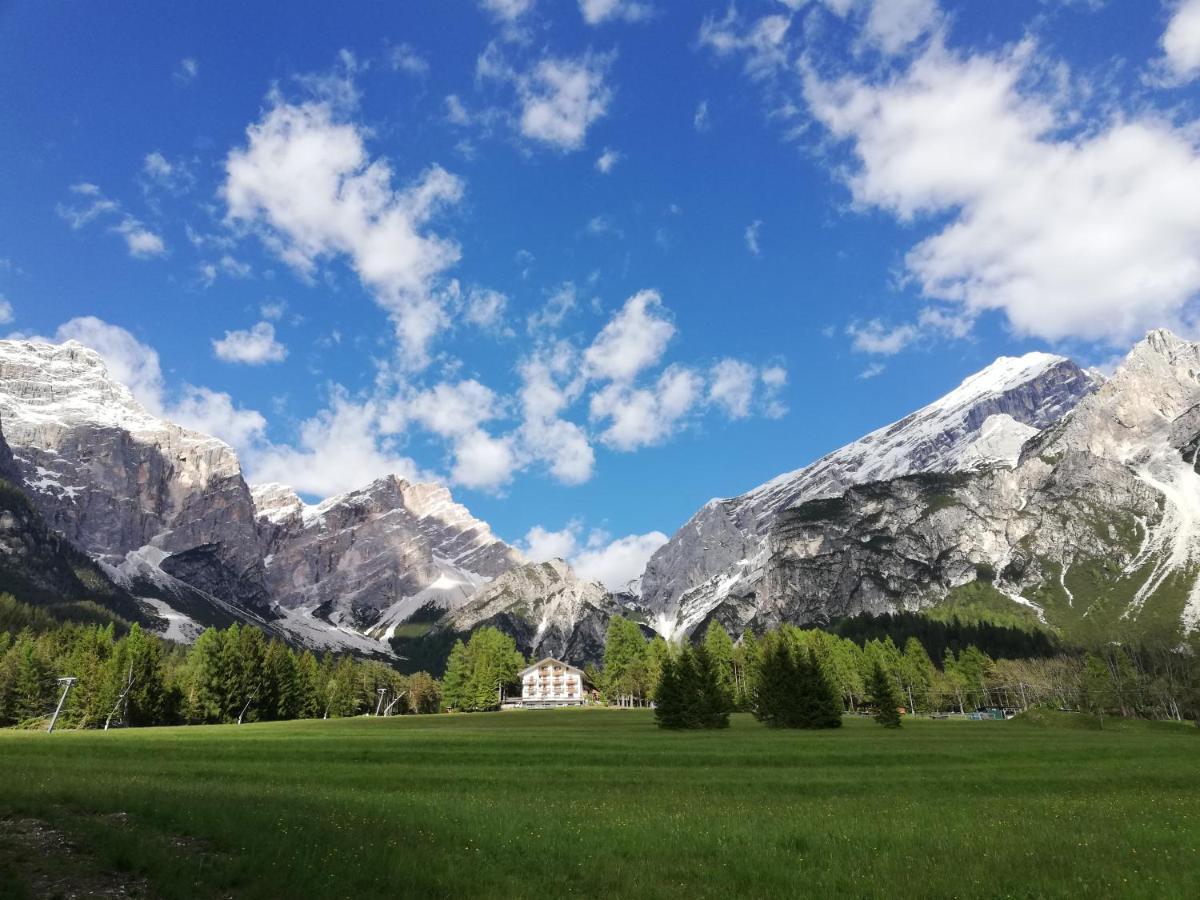Hotel Il Cardo San Vito di Cadore Exterior foto